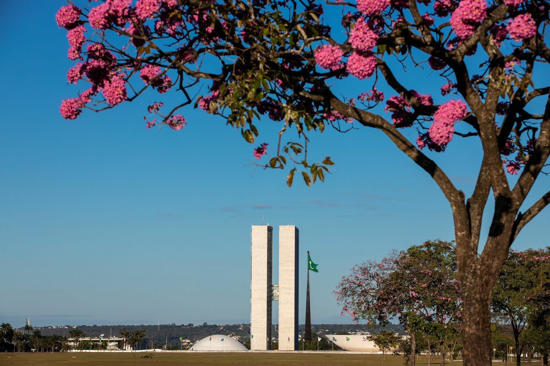Foto LUGARES EM BRASÍLIA PARA VISITAR E FOTOGRAFAR Foto LUGARES EM BRASÍLIA PARA VISITAR E FOTOGRAFAR - Imagem 3
